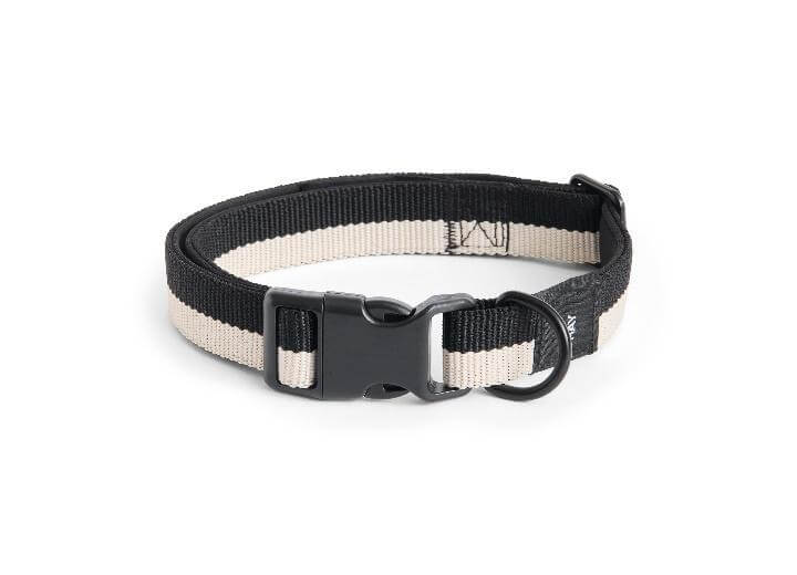 ④ HAY｜DOGS COLLAR FLAT
